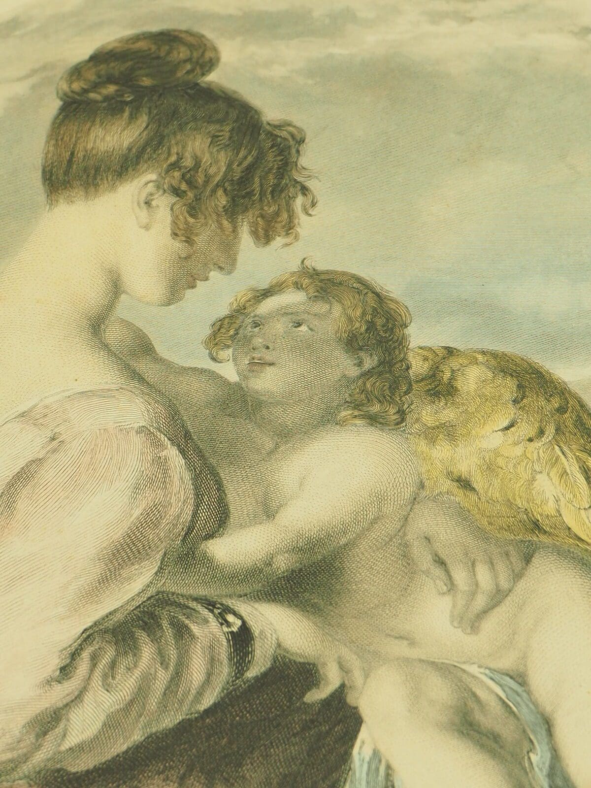 Illustrations & Prints