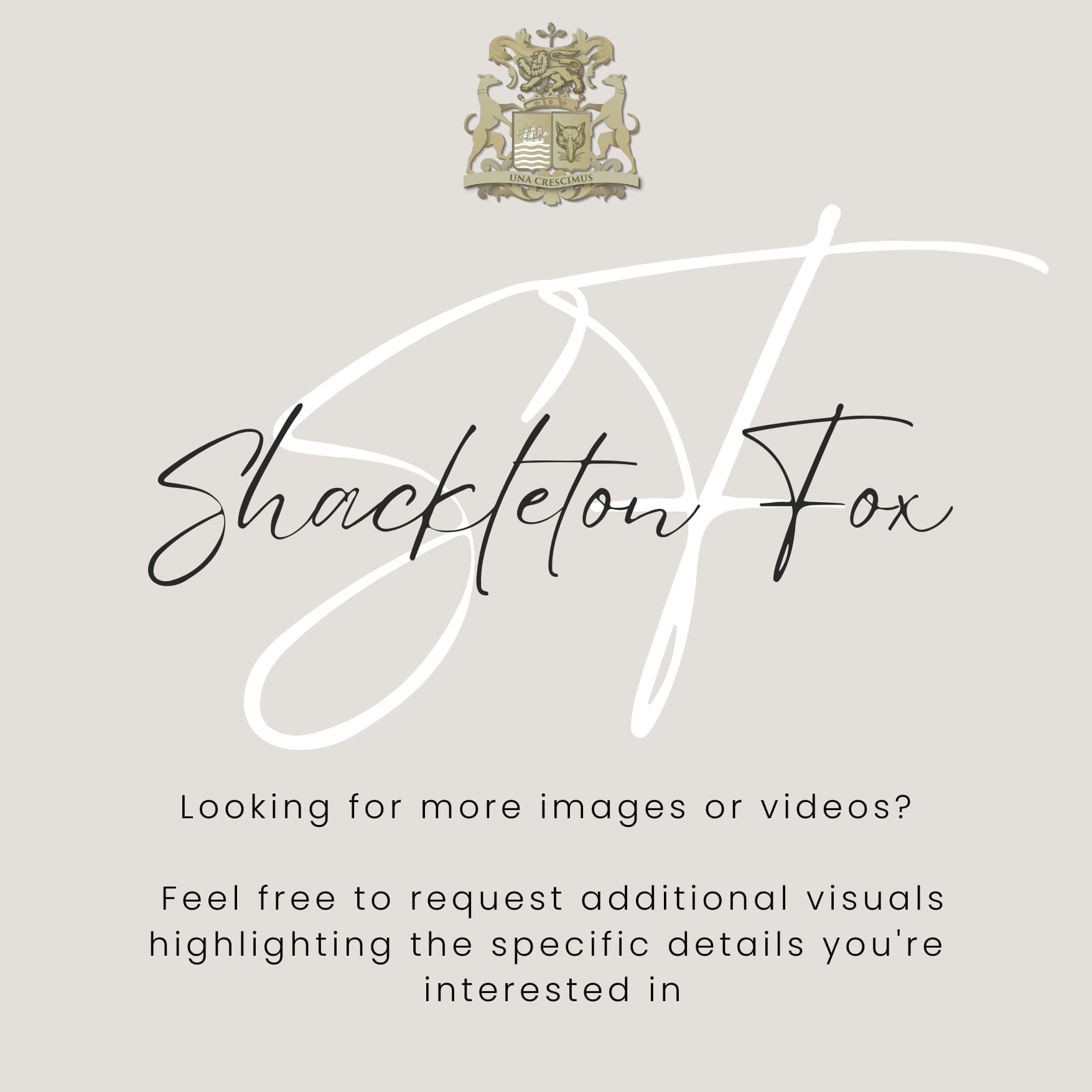 Shackleton Fox - Additional images