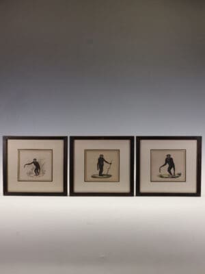 A Rare and Striking Triptych of 19th-Century Hand-Coloured Zoological Lithographs: Exotic Primates