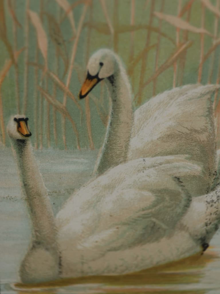 Victorian Chromolithograph by Emrik & Binger (c. 1890-1910)